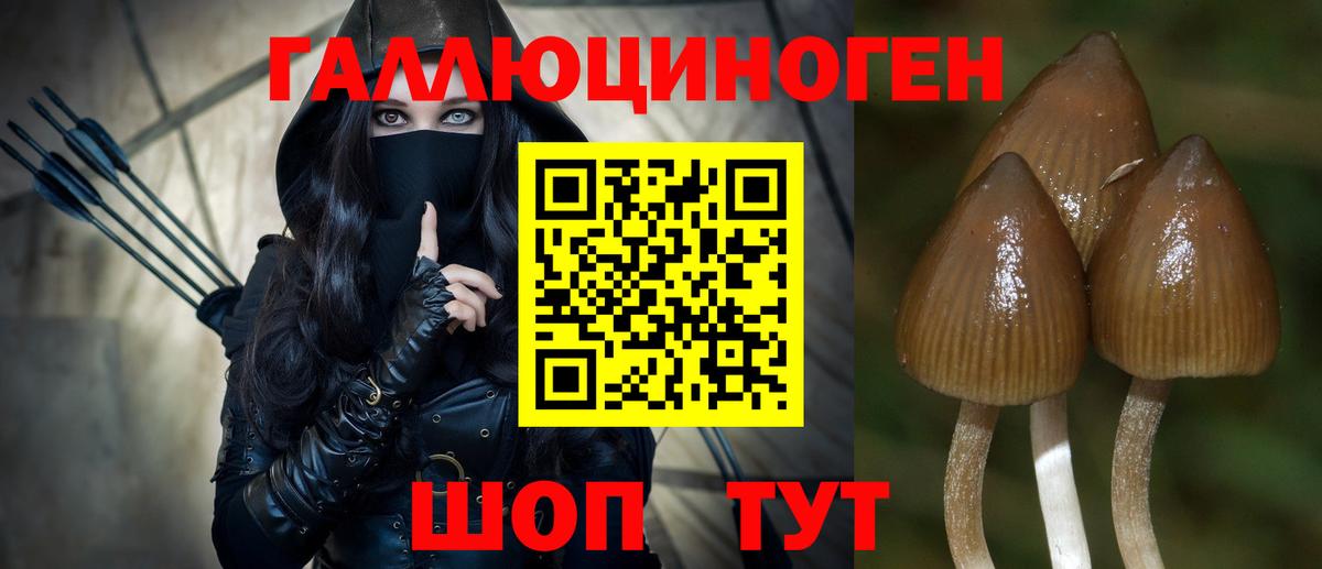 Галлюциногенные грибы ЛСД  Вход с VPN  Прохладный  Псилоцибиновые грибы Cubensis 